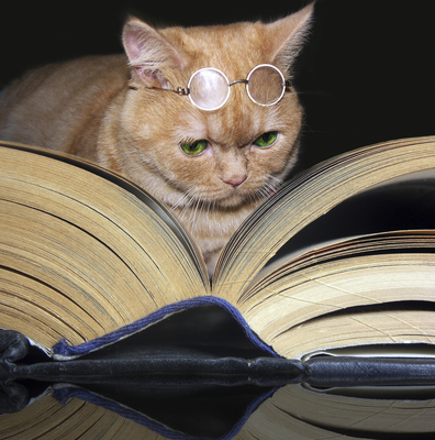Billy the Cat with Glasses